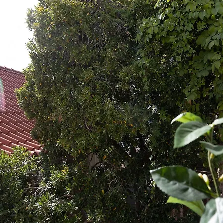 Semesterbostad Odin - Double - 3 Dubrovnik