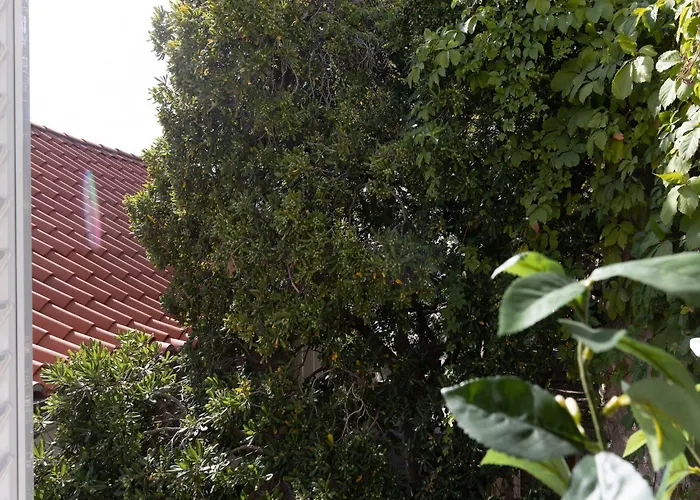 בית נופש Odin - Double - 3 דוברובניק